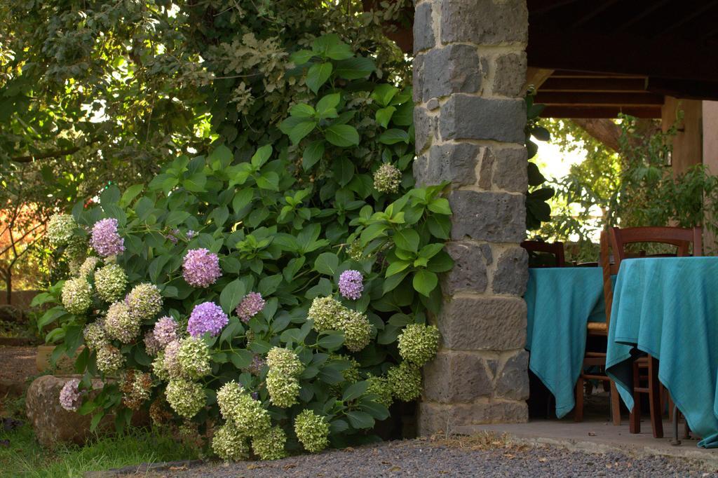 Country Hotel Mandra Edera Abbasanta Eksteriør bilde
