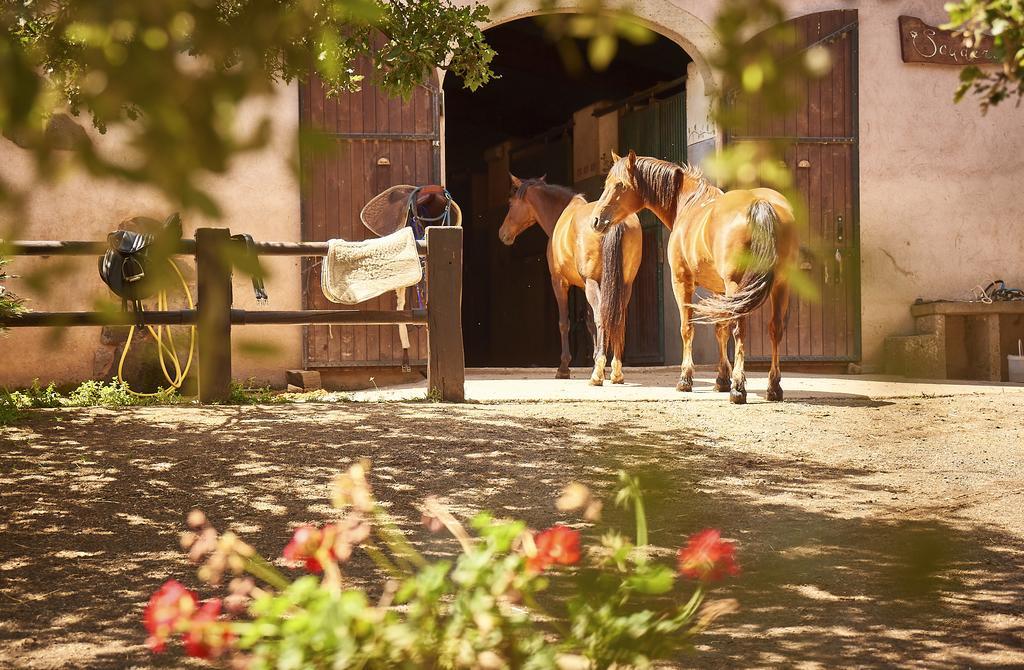 Country Hotel Mandra Edera Abbasanta Eksteriør bilde
