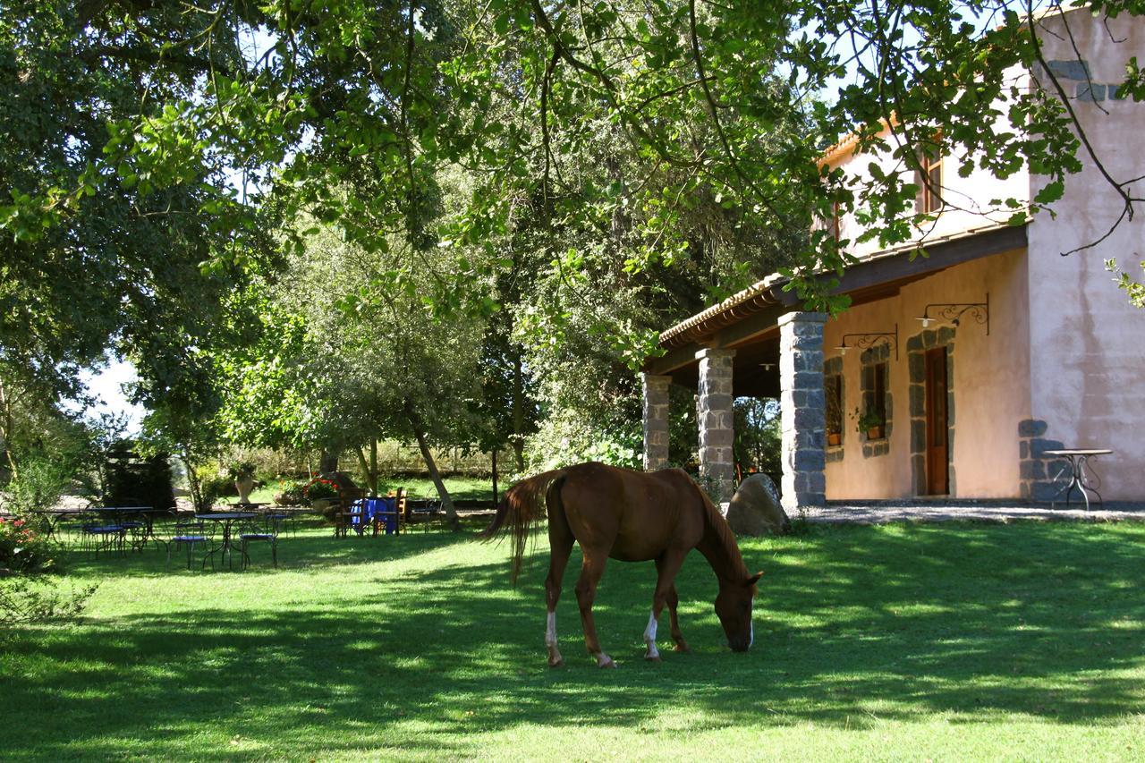 Country Hotel Mandra Edera Abbasanta Eksteriør bilde